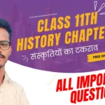 Class 11 History Chapter 8 Confrontation of Cultures Question Answer